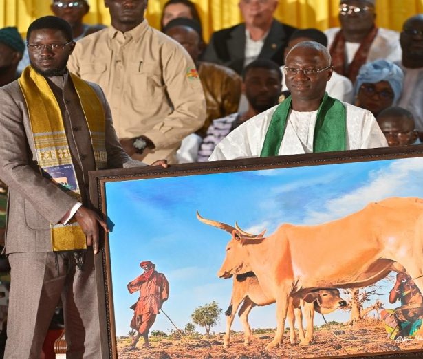 Image Article FSRP Elevage